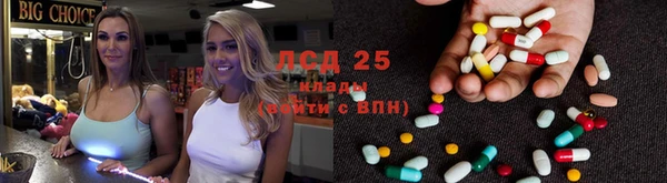 сатива Липки