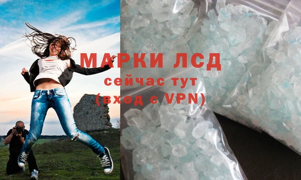 прущие крисы Бородино