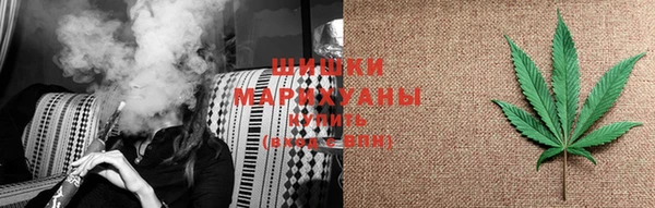 прущие крисы Бородино