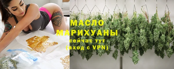 дживик Бронницы
