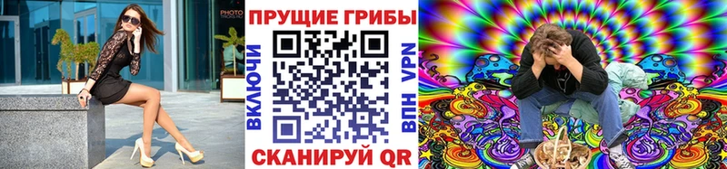 MEGA ссылки Вичуга Псилоцибиновые грибы мицелий