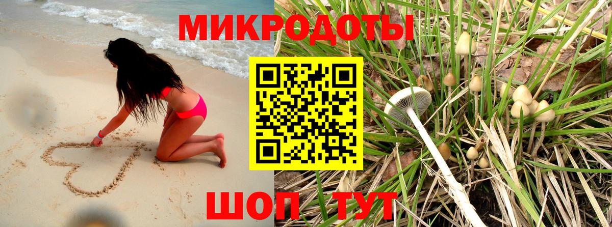 Псилоцибиновые грибы Psilocybe  Вичуга 