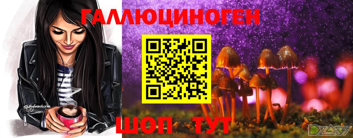 Вичуга  Галлюциногенные грибы ЛСД  Вход с VPN  Псилоцибиновые грибы Psilocybe 
