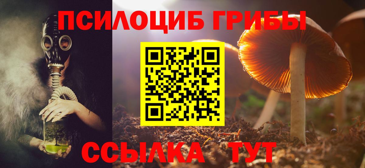 Галлюциногенные грибы мицелий Вичуга